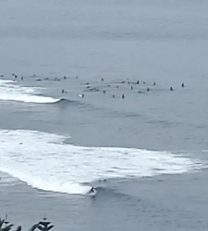 Appartement Torres Yomely