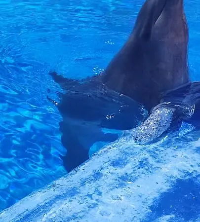 Lägenhet Torres Yomely *