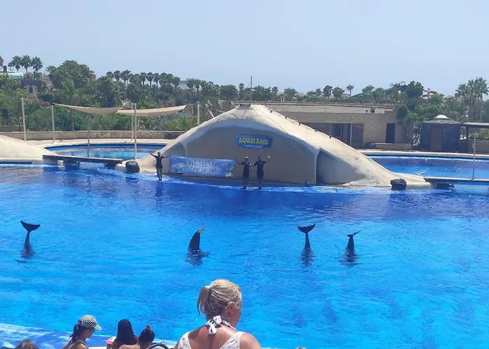 Apartman Torres Yomely *